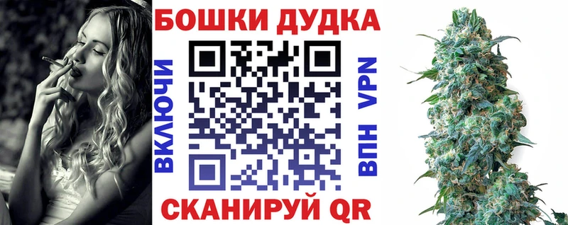 Магазины продажи наркотиков Домодедово ГАШИШ  Галлюциногенные грибы  МЕФ 