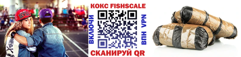 продажа наркотиков  ссылка на мегу ссылка  Cocaine Fish Scale  Домодедово 