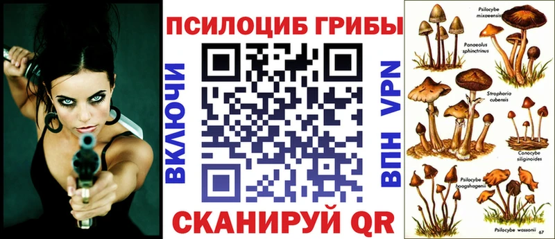 цены наркотик  Домодедово  Галлюциногенные грибы Psilocybe 